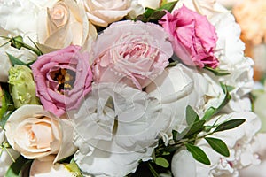 Beautiful rose flowers background