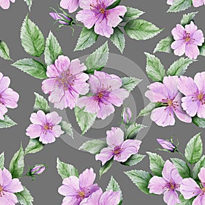 Beautiful rose hip flowers with leaves on gray background. Seamless floral pattern. Watercolor painting.