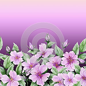 Beautiful rose hip flowers with leaves on purple background. Seamless floral pattern, border. Watercolor painting