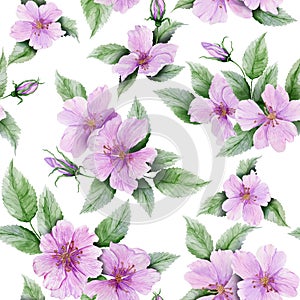 Beautiful rose hip flowers with leaves on white background. Seamless floral pattern. Watercolor painting.