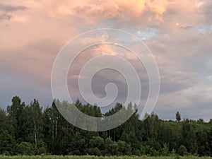 Beautiful rose-red decline on a summer meadow with the wood, look as the sign as if something comes back to Earth. the weakening