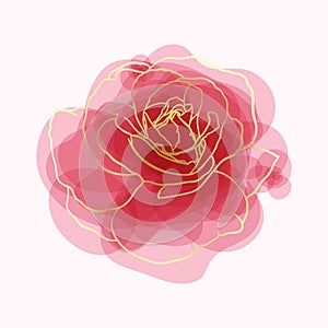 Beautiful rose watercolor imitation hand-painted with golden outline isolated on white background