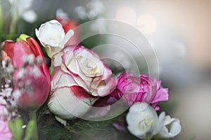 beautiful roses bouquet with blurred withe background