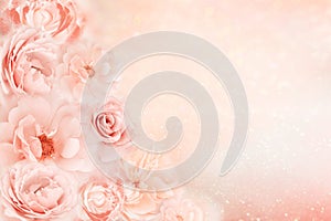 Beautiful roses flower border in soft pink, peach vintage color tone with glitter romance background for valentine or wedding,