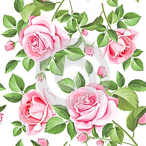 Beautiful roses seamless pattern photo