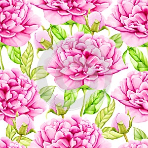 Beautiful roses seamless pattern