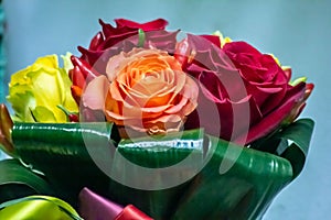 Beautiful roses, used in love or friendship, are appreciated by women certainly being beautiful like them. photo