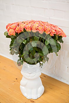 Beautiful roses in a vase-cat