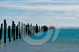 Beautiful rotten mooring on a beach