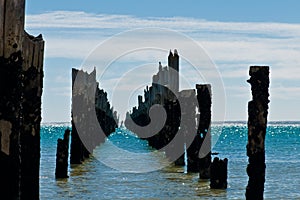 Beautiful rotten mooring on a beach