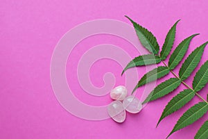 Beautiful round rose quartz stones with green leaves on a pink background. Healing crystals. Copy space, flat lay, top view