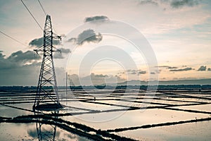 Power lines along rice paddys in vietnam photo