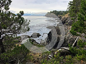 The beautiful rugged coastline of the famous east sooke coast trail along the rocky shores of southern Vancouver island