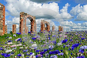 Beautiful ruins of an old barn made of boulders and red bricks in the middle of a field of cornflowers, colorful field of