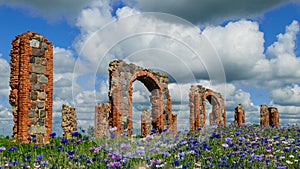 Beautiful ruins of an old barn made of boulders and red bricks in the middle of a field of cornflowers, colorful field of