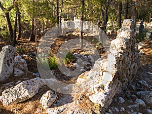 Beautiful ruins in the pine forest of Phaselis