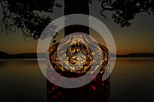 beautiful rum bottle full with rum holding in front of a sunset over Watson Taylors Lake at Crowdy Bay National Park, New South photo