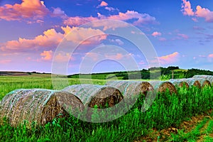 Beautiful rural agricultural landscape at dusk. With colored clouds. Old straw bales in the foreground