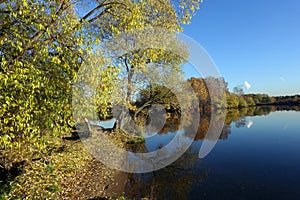 Beautiful rural autumn landscape with forest and trees hanging above the river with still water under blue cloudless sky