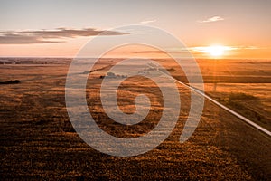 Aerial drone photo - Sunrise over a rural Sycamore Illinois cornfield.