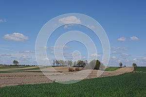 A beautiful rural countryside ecological farming landscape with green meadow, field and trees  on a sunny day with blue sky