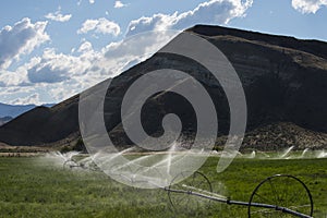 Beautiful rural farmland of central Oregon