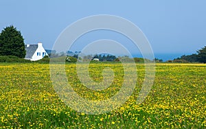 Beautiful rural landscape