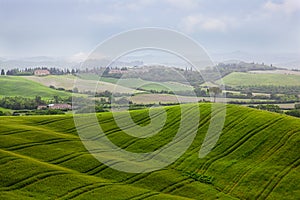 Beautiful rural landscape