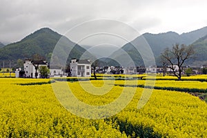 Beautiful rural landscape in China