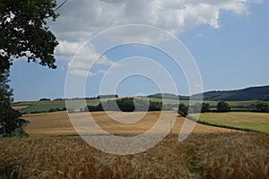 Beautiful rural landscape in Cornwall in bright sunshine