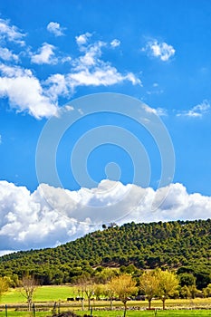 Beautiful rural landscape of the foot of a mountain with many trees