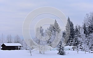 Beautiful rural landscape of Lithuania .Foggy morning