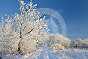 Beautiful rural landscape of Lithuania . Snowy road