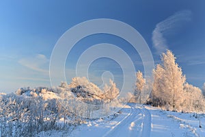Beautiful rural landscape of Lithuania . Snowy road