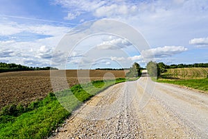 Beautiful rural landscape with plowed field, gravel road, forest and blue sky