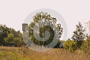 Beautiful rural landscape on a sunny summer day. Natural background retro style toned