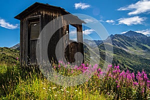 Beautiful rural scene of a wooden rural house and purple flowers growing on hills in Verbier
