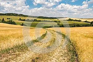 Beautiful rural summer countryside with dirt road between fields