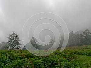 Beautiful rural valley with trees under a foggy sky in Ramsar county in Mazandaran province, Iran