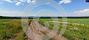 Beautiful Russian field