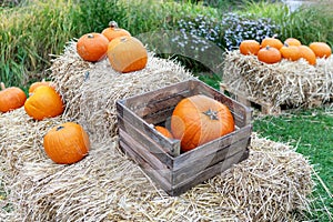 Beautiful Rustic Autumn Still Life with Pumpkins and Hay Bales in a Charming Farm Setting
