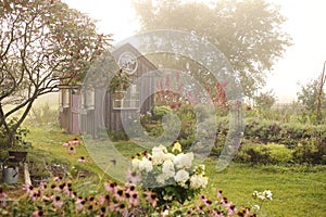 A beautiful Rustic Shed in Cottage Garden on Foggy Morning photo