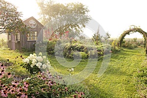 A beautiful Rustic Shed and Vine Covered Arbor in Cottage Garden