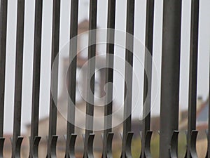 Beautiful safety fence to avoid dangers and passage photo