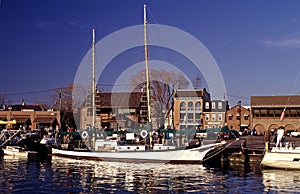 Beautiful Sailboat-Annapolis