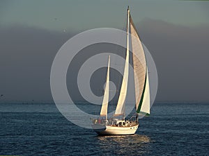 Beautiful sailboat cruising 2