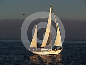 Beautiful sailboat cruising
