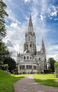 Beautiful Saint Fin Barre`s Cathedral in Ireland