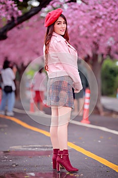 Beautiful sakura cherry blossoms tree full blooming in pink color.