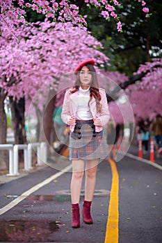 Beautiful sakura cherry blossoms tree full blooming in pink color.